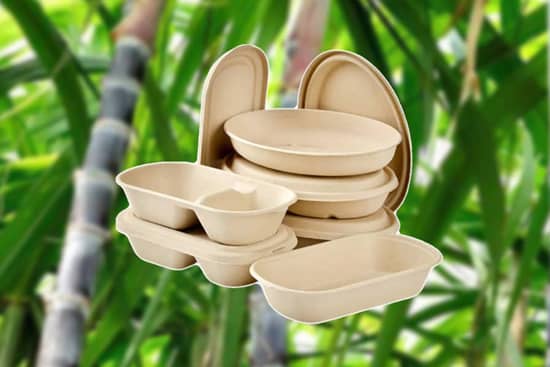 Sugar Cane Bagasse