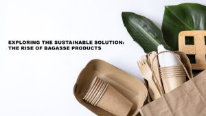 Exploring the Sustainable Solution: The Rise of Bagasse Products